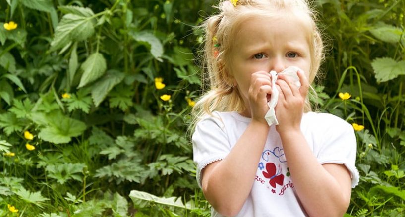 Reasons and Treatment of Spring Allergies